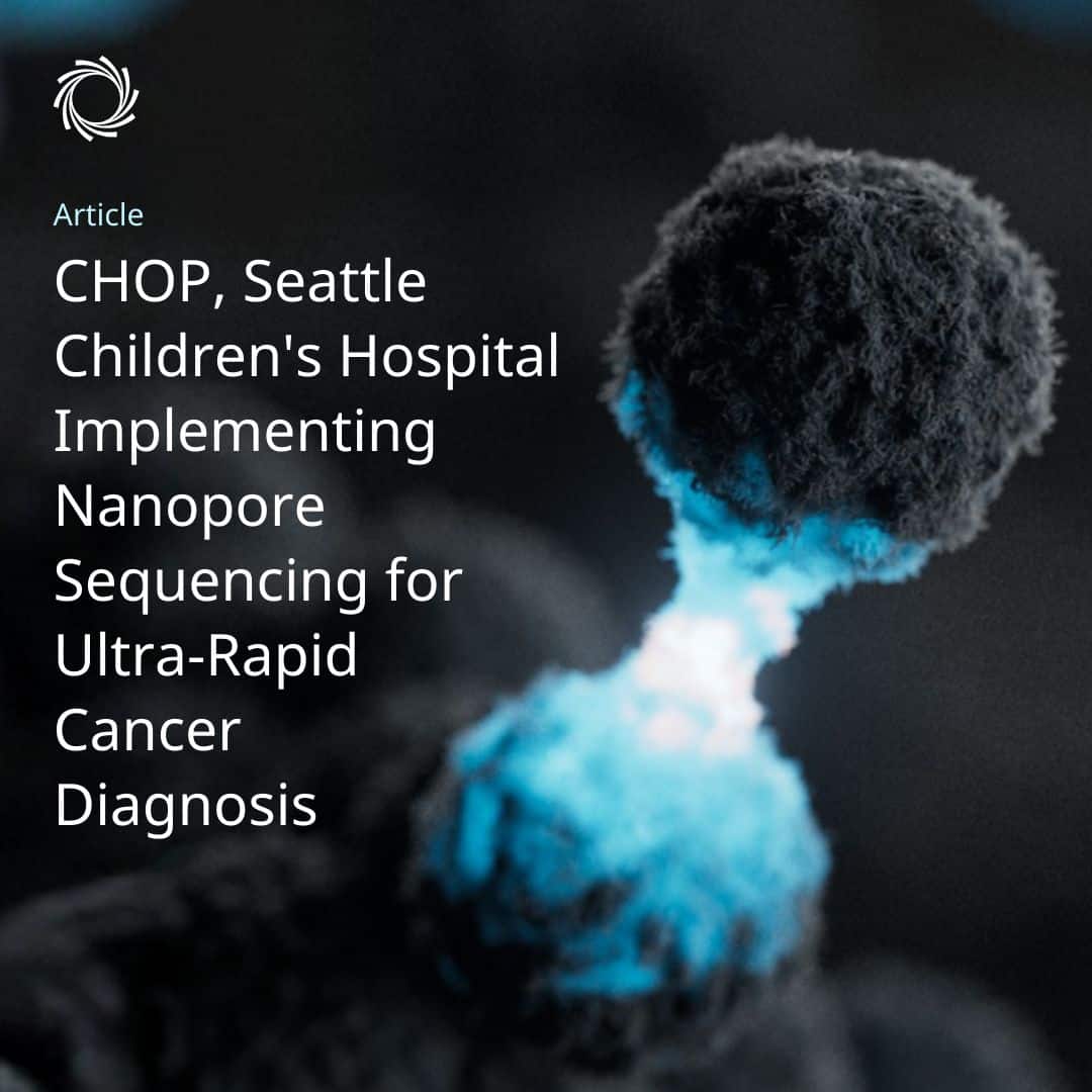 1772530839231 1772530839231