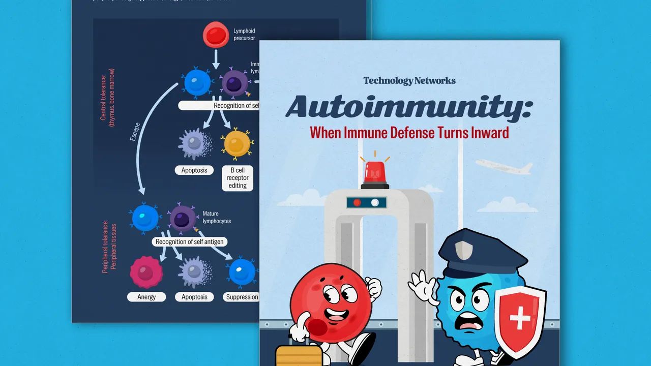 autoimmunity-infographic-header-1280×720 autoimmunity-infographic-header-1280x720