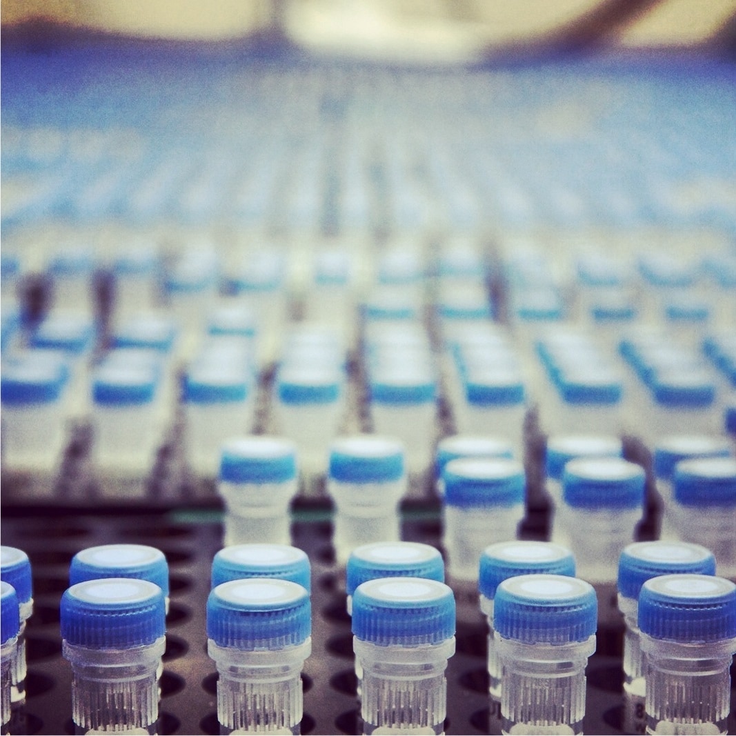 IDT TỔNG HỢP DNA OLIGOS (PRIMER / PROBE)